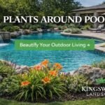 Kingswood Landscape: Artificial Turf Installation for Beautiful, Low-Maintenance Outdoor Spaces