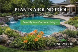 Kingswood Landscape: Artificial Turf Installation for Beautiful, Low-Maintenance Outdoor Spaces