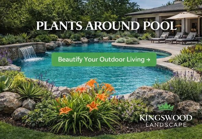 Kingswood Landscape: Artificial Turf Installation for Beautiful, Low-Maintenance Outdoor Spaces