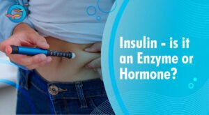 Insulin: Is It an Enzyme or a Hormone? A Simple Explanation