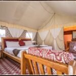 Exploring Nubra Valley: Best Cafes, Organic Cuisine, and Comfortable Stays