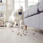 Pest Control in Edmond, Oklahoma: The Complete Homeowner’s Guide