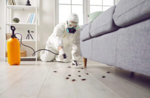 Pest Control in Edmond, Oklahoma: The Complete Homeowner’s Guide