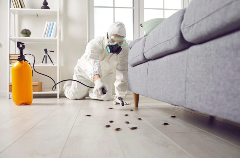 Pest Control in Edmond, Oklahoma: The Complete Homeowner’s Guide
