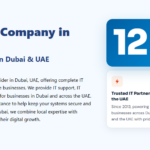 Managed IT Services UAE